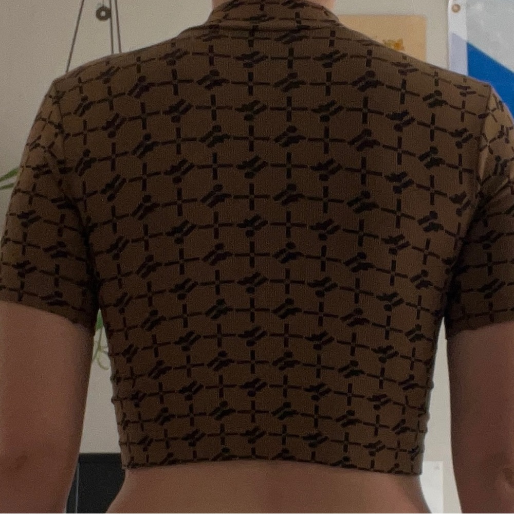 Zara crop top